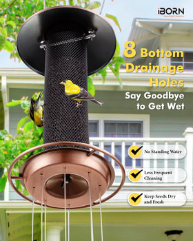 iBorn easy-clean disassembly for fast, tool-free maintenance.