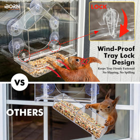 Integrated perch ring supports multiple birds on the iBorn feeder.