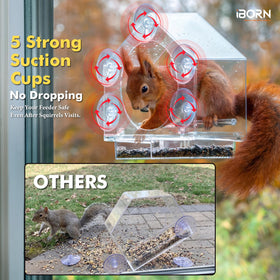Five suction cups secure the feeder to the window for secure viewing.