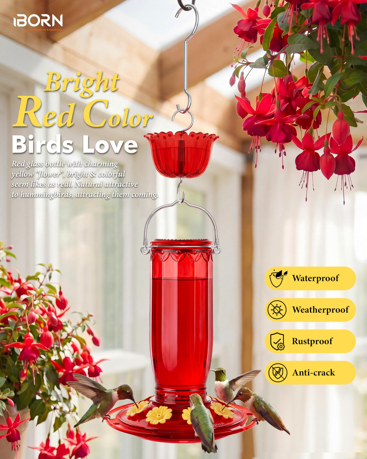 iBorn feeder's 16oz glass bottle for easy refilling and fresh nectar