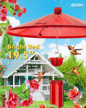 iborn hummingbird feeder baffle ant moat prevents nectar contamination
