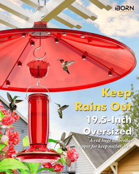 iborn hummingbird feeder baffle bright red attracts hummingbirds