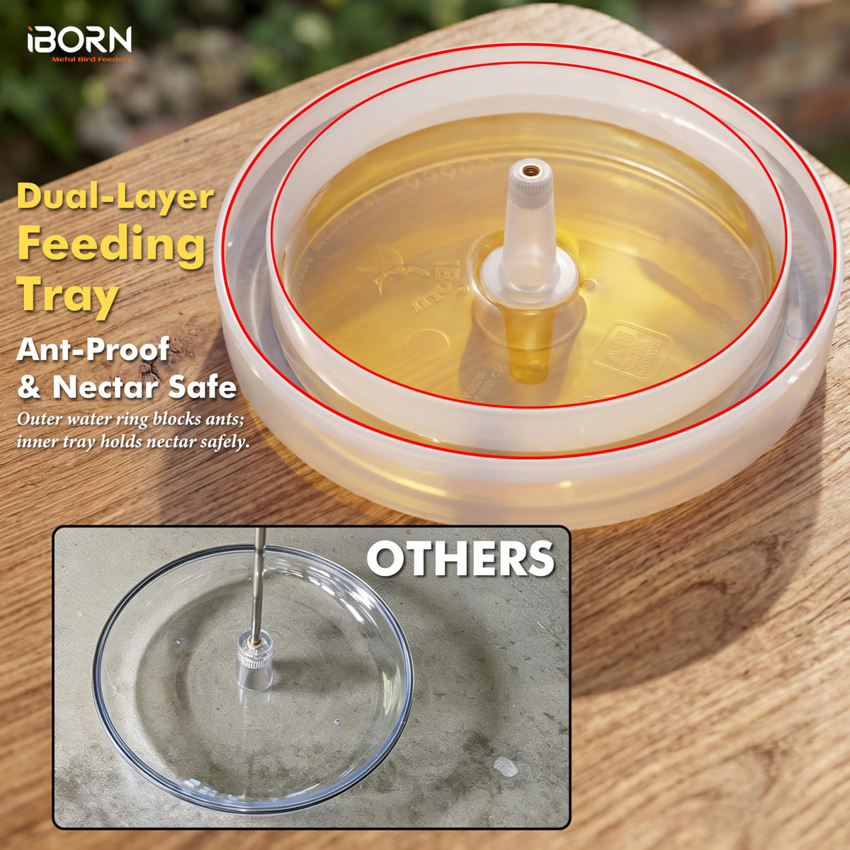 iBorn bee-proof design helps hummingbirds access nectar