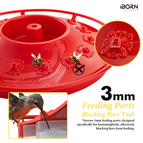 iBorn BPA-free food-grade plastic supports safe feeding