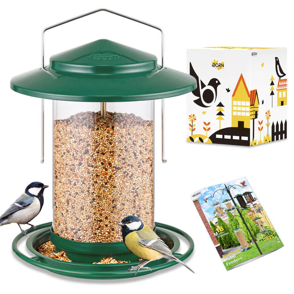 iBorn metal bird feeder hanging outdoors with six ports in green for convenient feeding