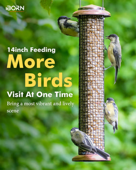 iBorn one-pound capacity seed feeder holds peanuts and sunflower seeds for busy mornings.