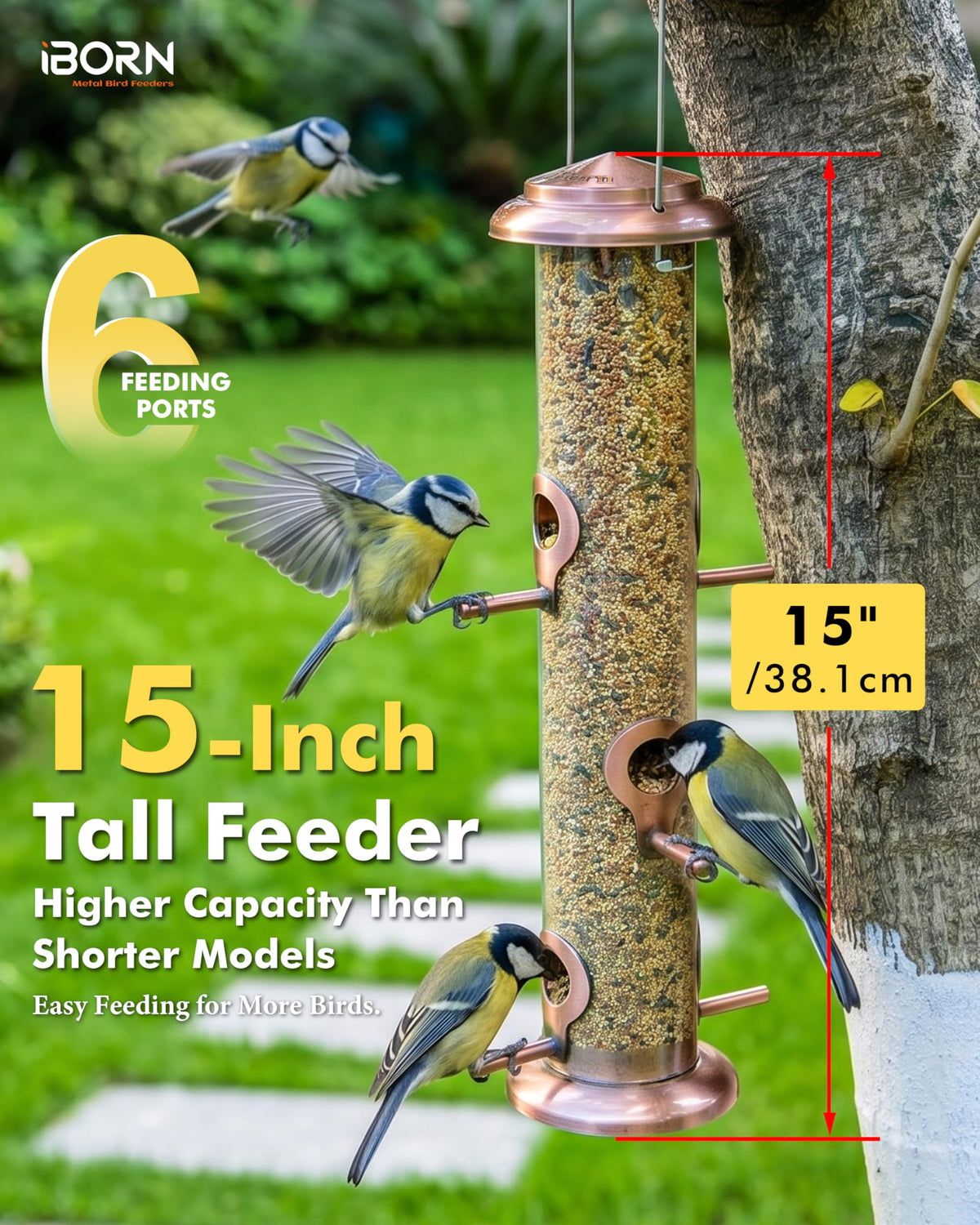 Iborn perches support comfortable feeding for several birds.
