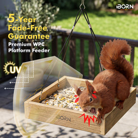 iBorn Platform Bird Feeder Tray cedar-look color remains vibrant.