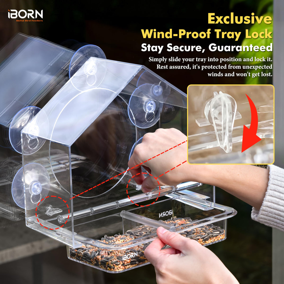 Removable seed tray on iBorn feeder enables quick refills from indoors.