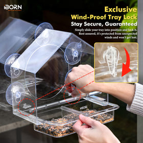 Removable seed tray on iBorn feeder enables quick refills from indoors.