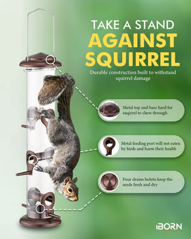 iborn seed feeder simplifies maintenance while inviting more backyard birds.