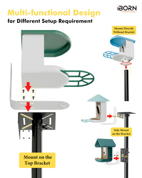 iBorn screw-lock system keeps feeder securely in place