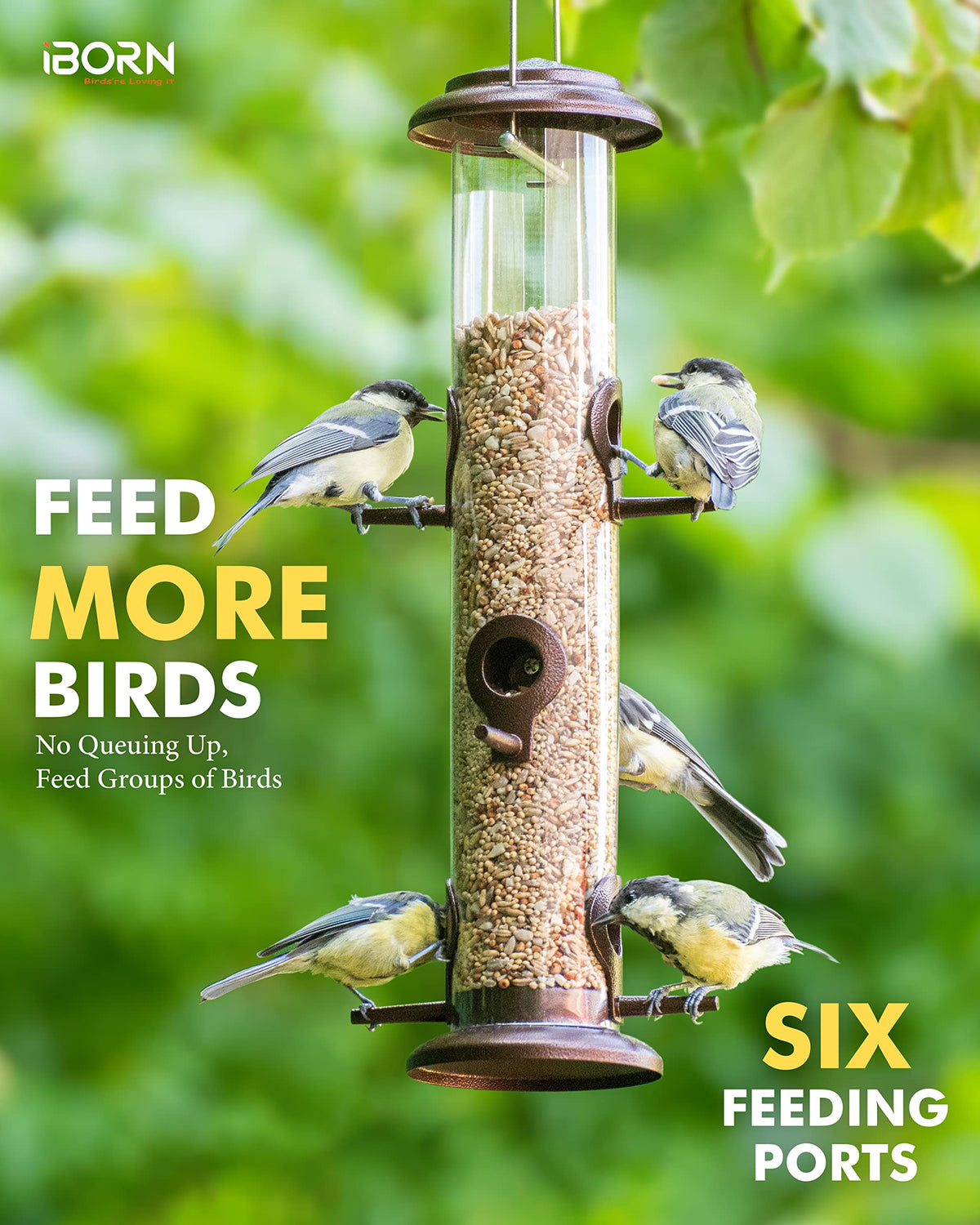 iborn seed mix feeder compatible with sunflower seeds and mealworms for varied birds.