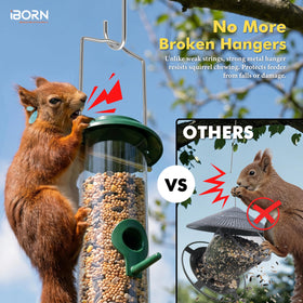 iBorn mix seed compatibility attracts diverse birds to your yard