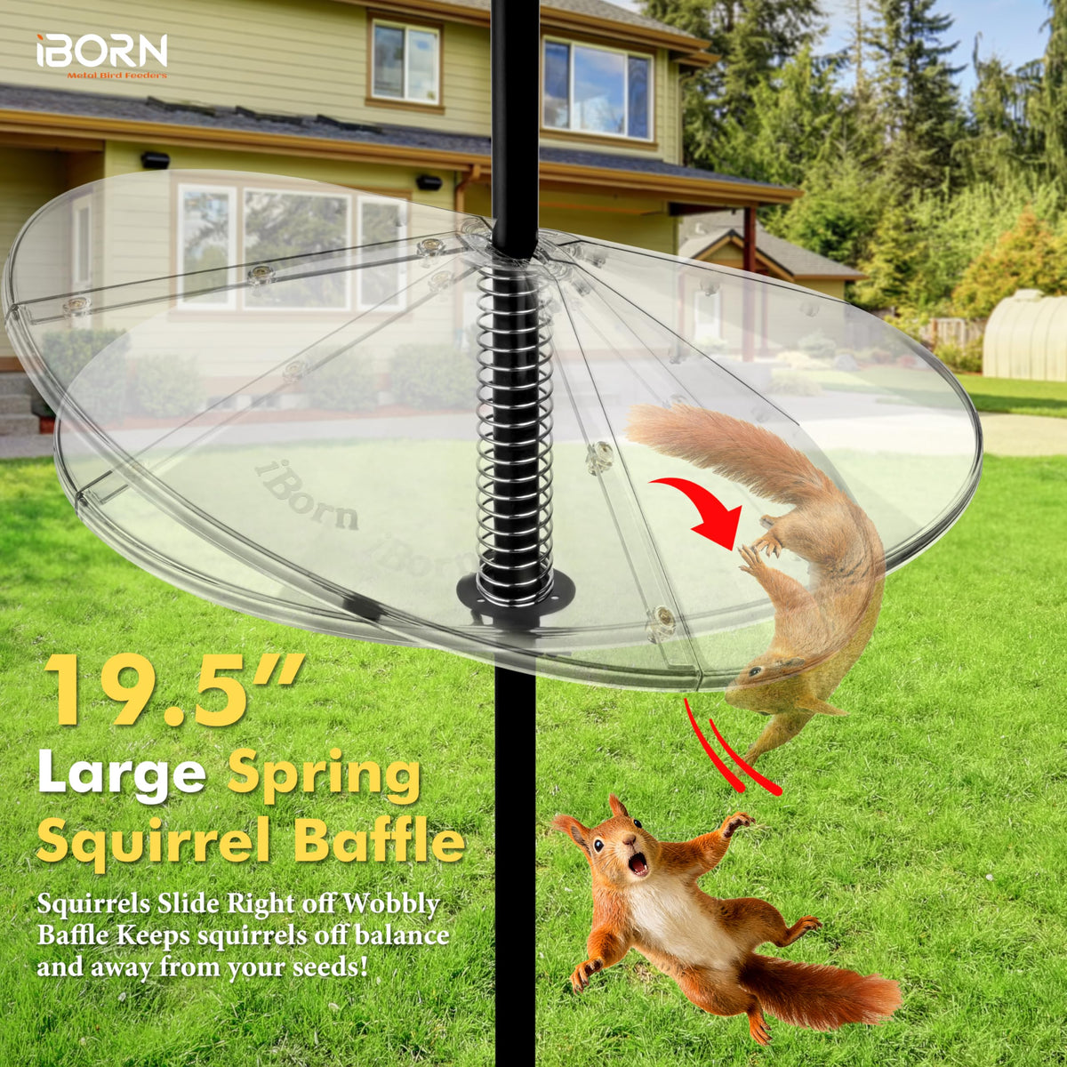 iBorn Squirrel Baffle designed for outdoor durability in all weather conditions