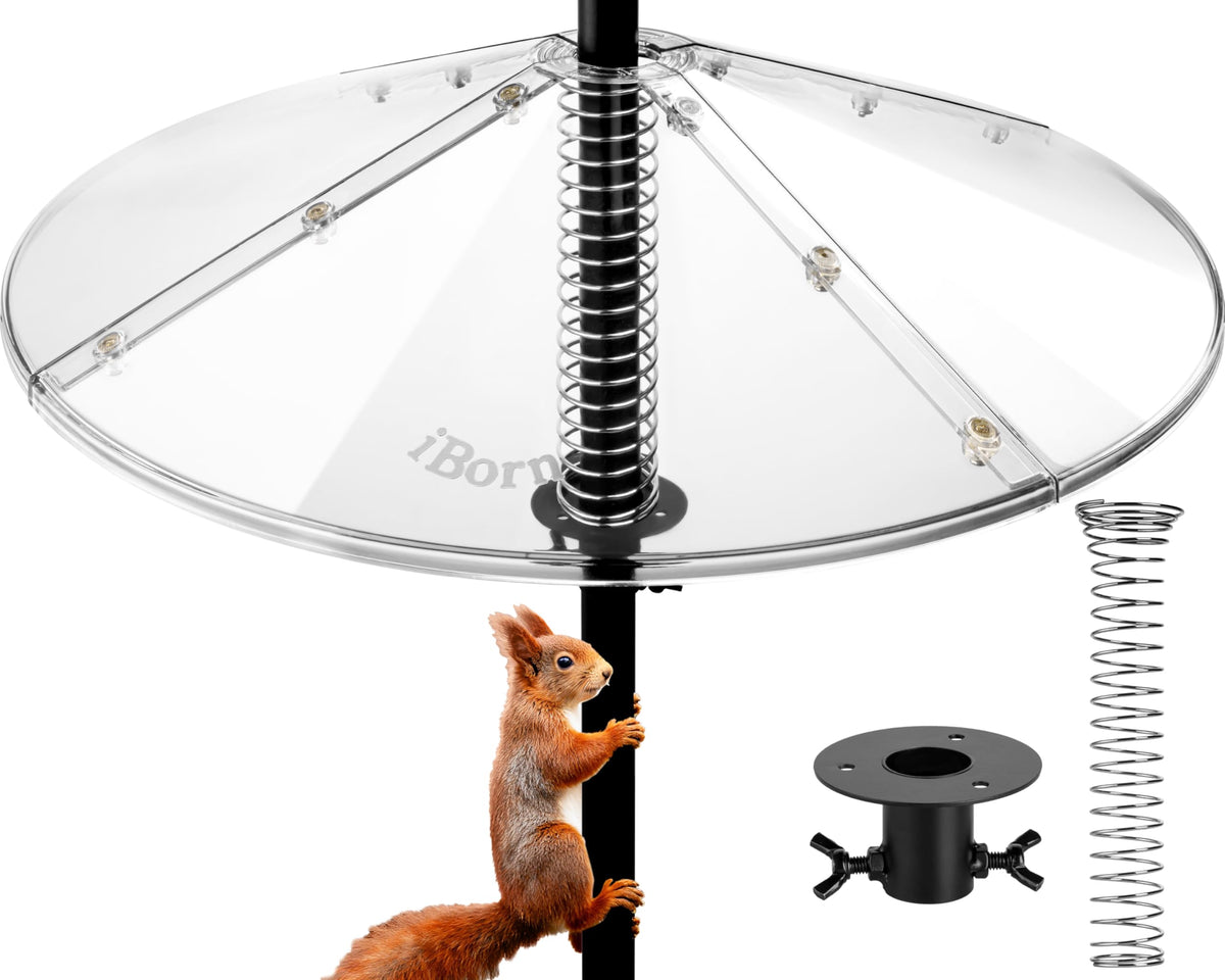 iBorn Spring Squirrel Baffle overview showing oversized shield deterring squirrels from feeders