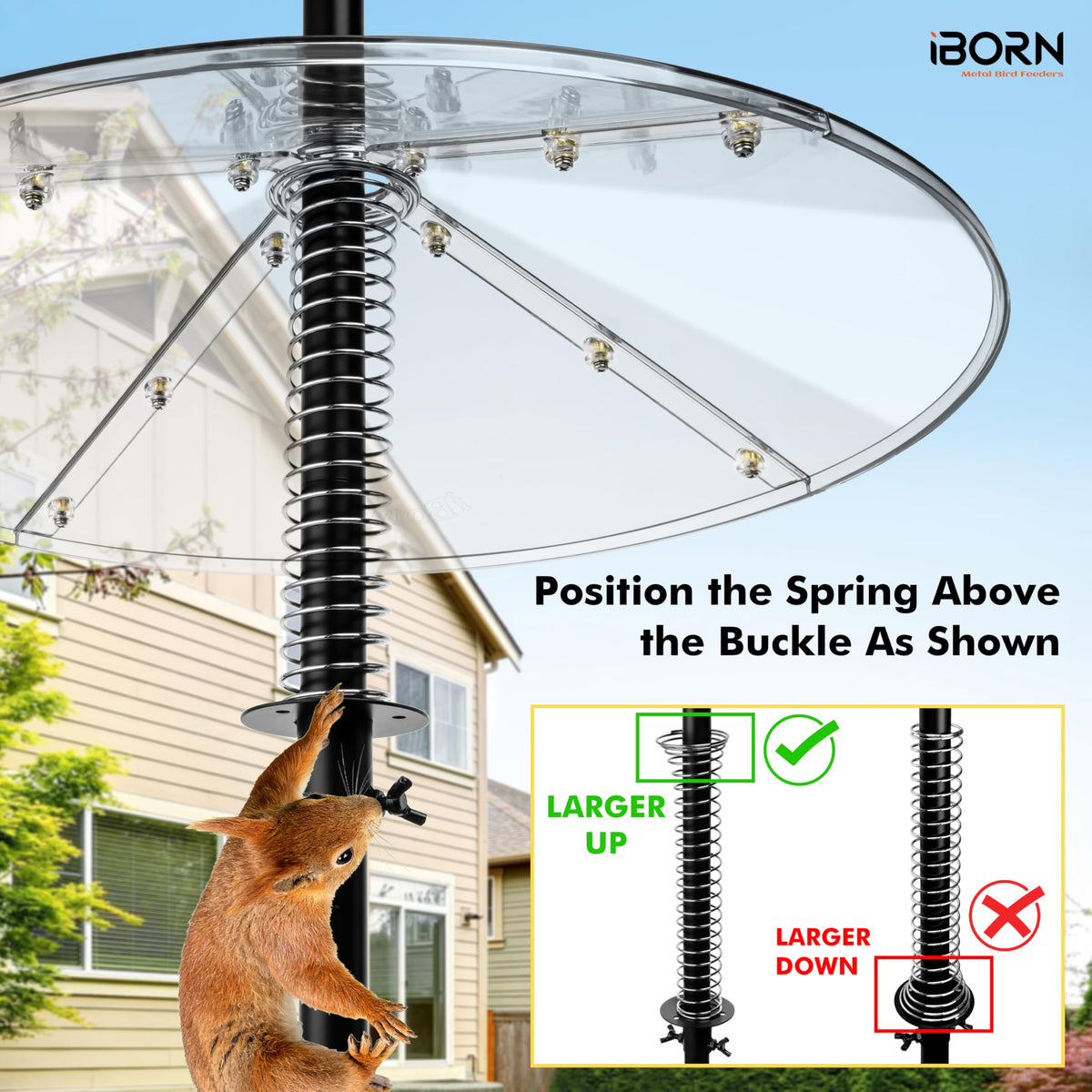 iBorn Squirrel Baffle polycarbonate shell resists sun and weather