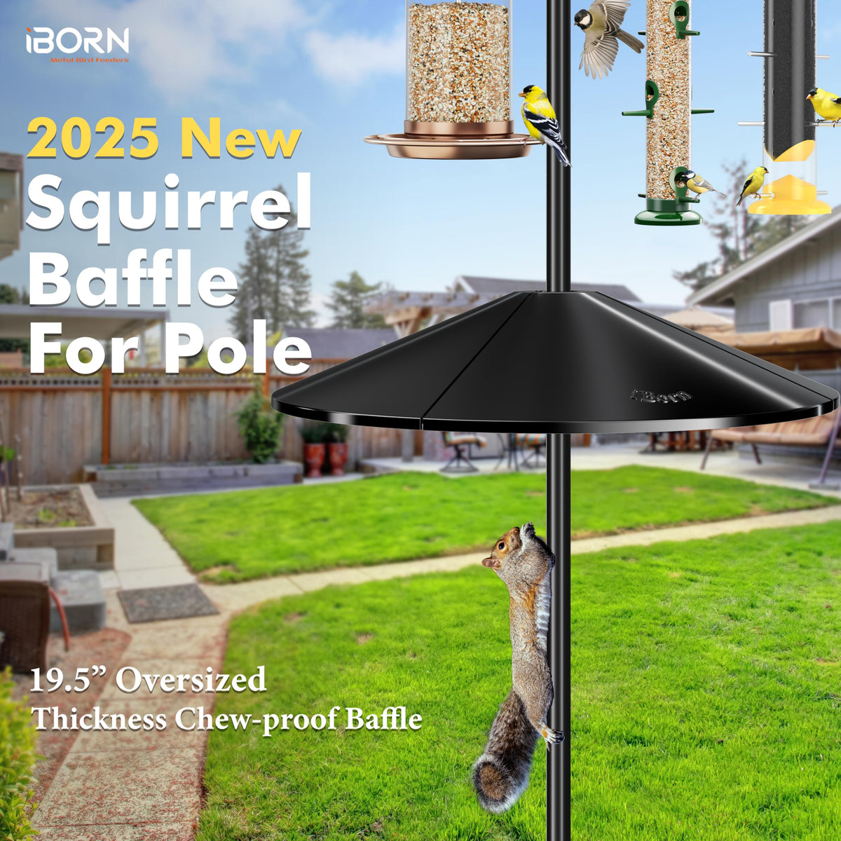 iBorn Squirrel Baffle rust-proof durability for outdoor feeding.