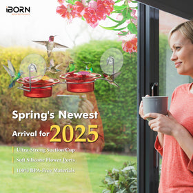 iBorn stainless steel holder highlighting durability and stable support for year-round use.