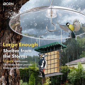 iBorn transparent baffle provides 360-degree viewing of visiting birds.