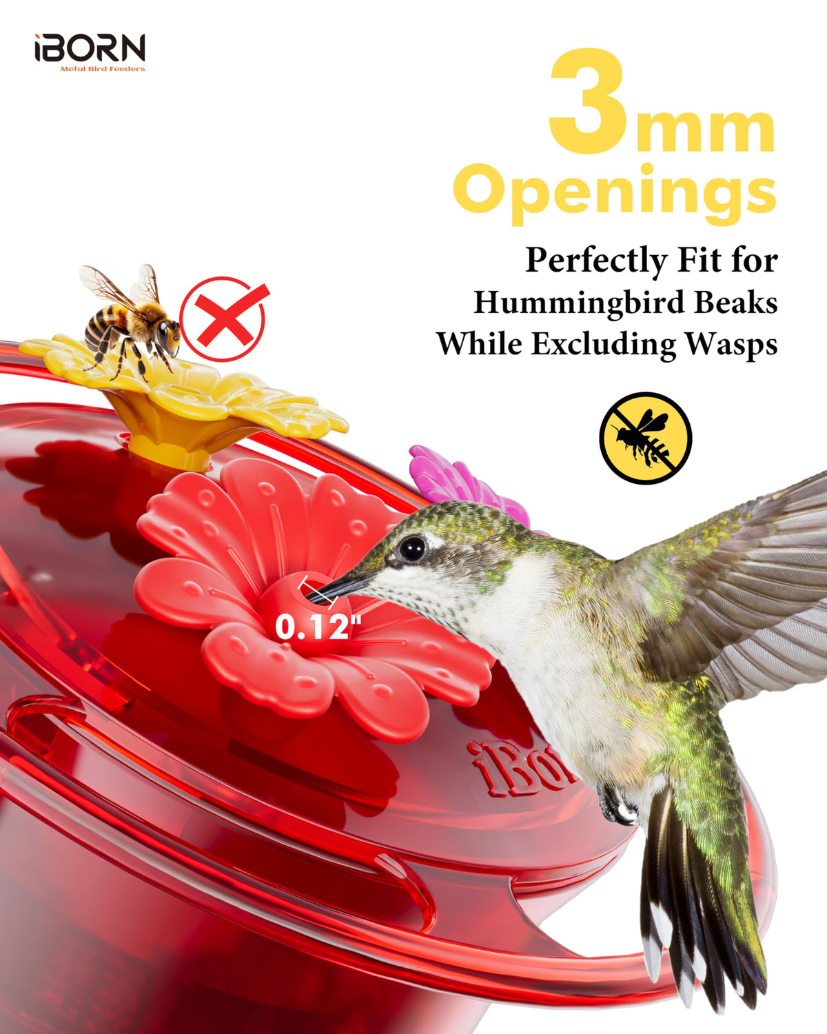 iBorn twist-off lid and wide-mouth opening simplify cleaning