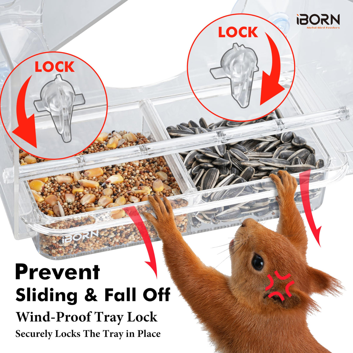 Weather-resistant iBorn feeder stays clear and durable in sun and rain.