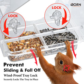 Weather-resistant iBorn feeder stays clear and durable in sun and rain.