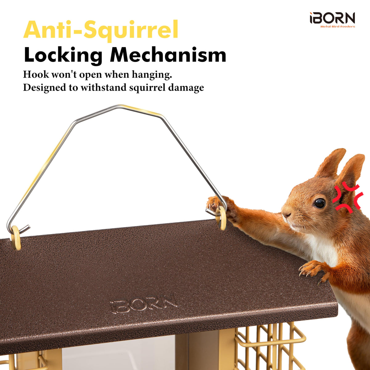 iBorn weatherproof metal roof protects seeds from rain for drier feed