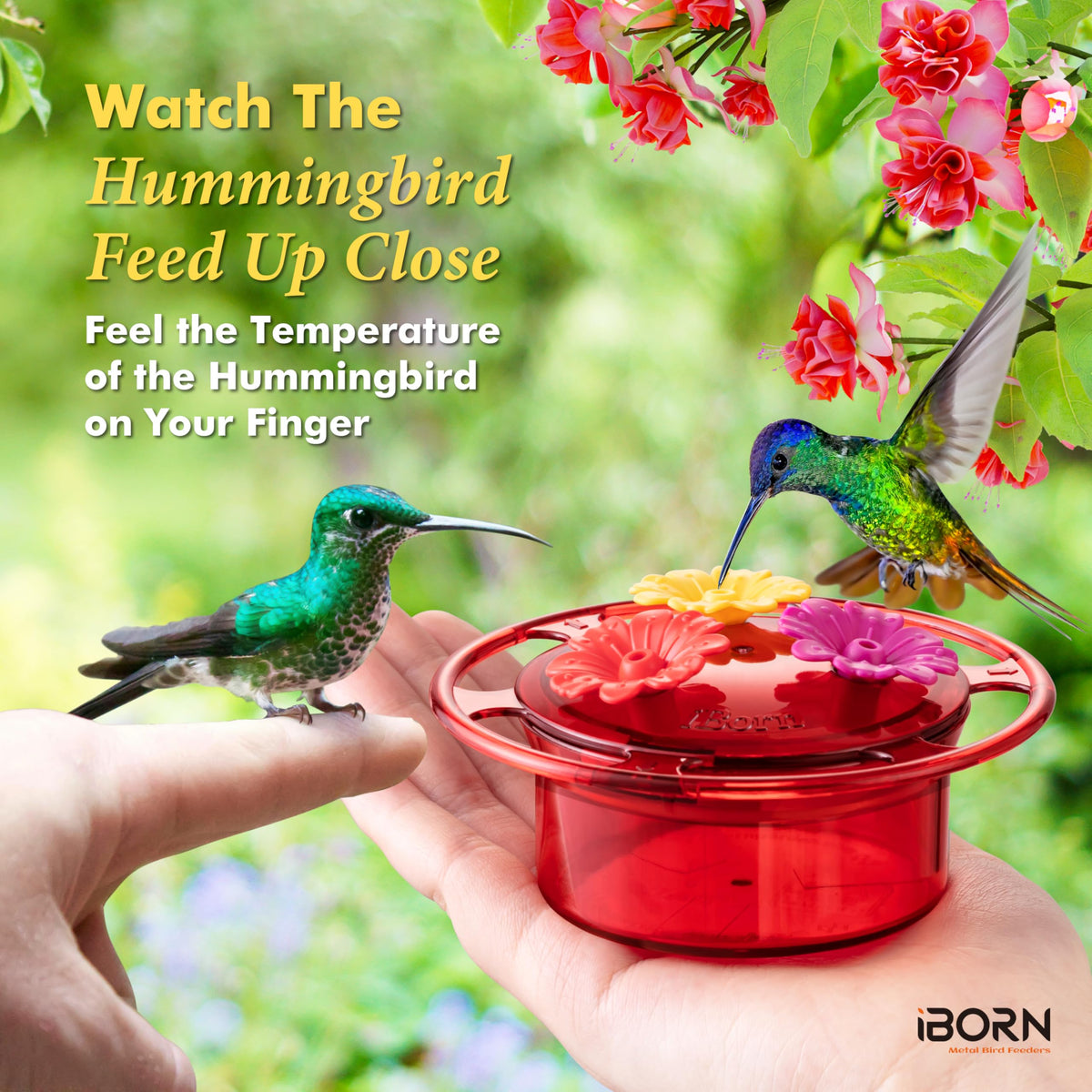 iBorn wide-mouth 3-inch opening ensures easy filling and rinsing.