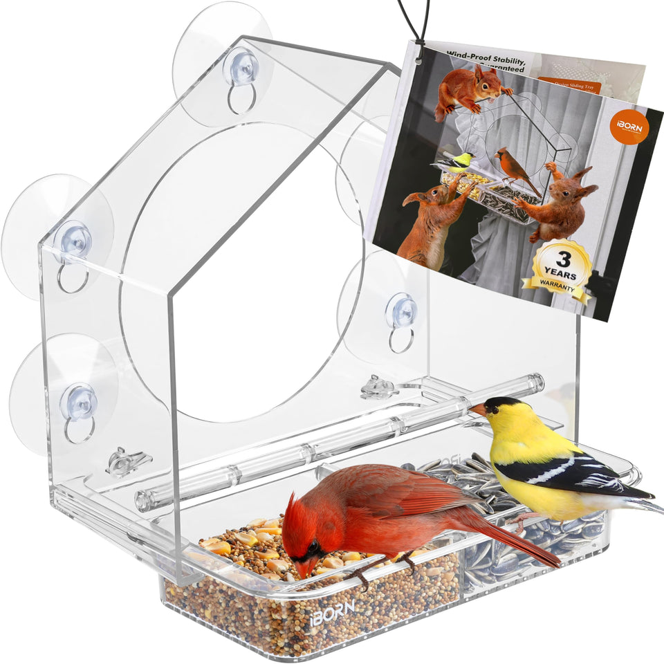 iBorn window bird feeder with wind-proof lock keeps seed tray secure for steady feeding.