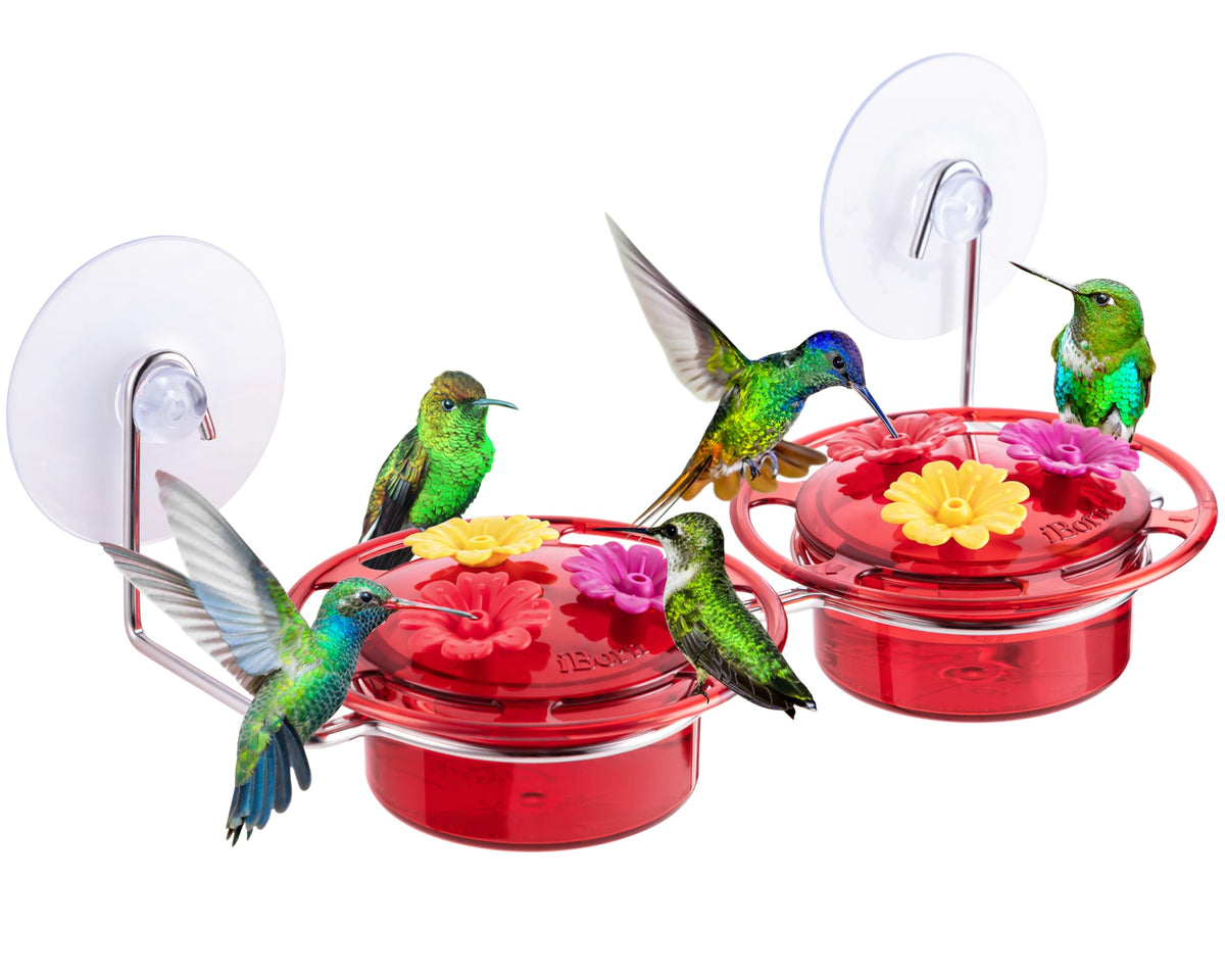 iBorn window hummingbird feeder with a strong suction cup for secure glass mounting.