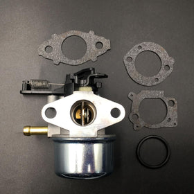 IBVIBV carburetor assembly test-startup image implies reliable performance after install