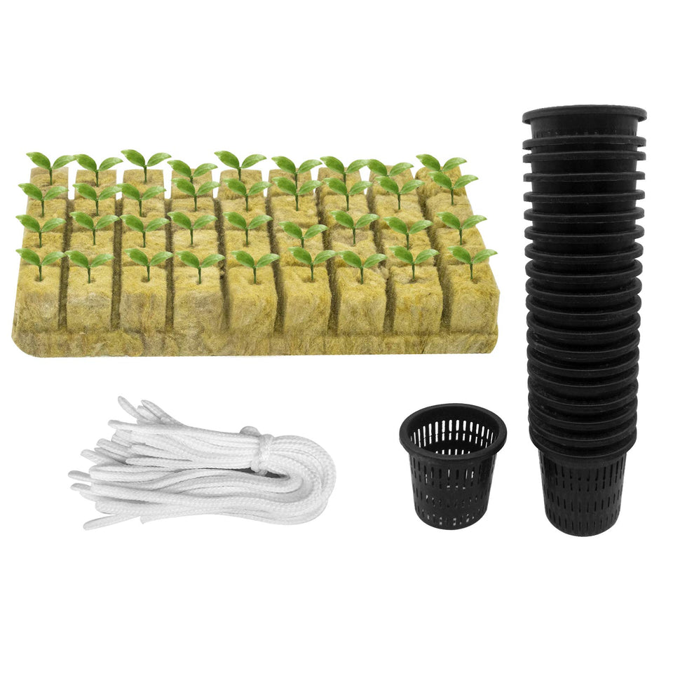 Iceyyyy 2in slotted mesh net pots for healthy root drainage