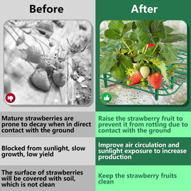 Iceyyyy durable PP material resists moisture for long-lasting garden use.