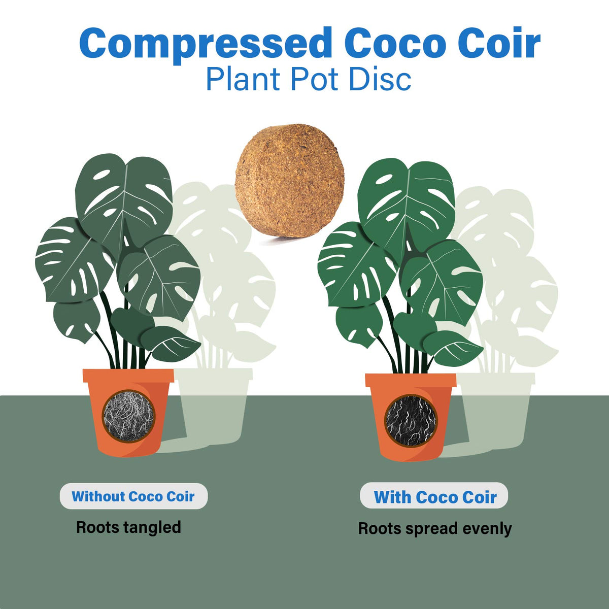 Iceyyyy indoor garden coir disk supports healthy root growth