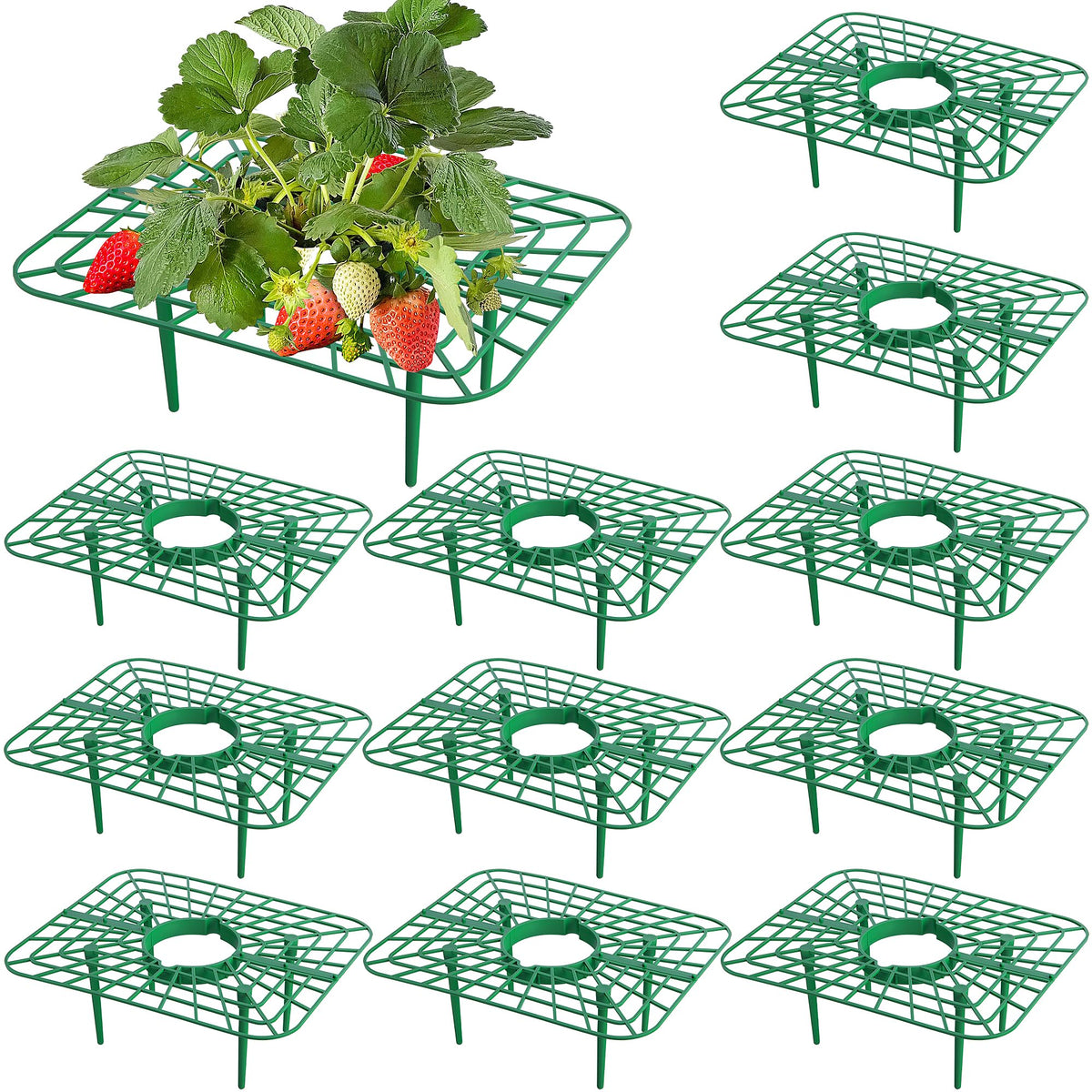 Iceyyyy square strawberry support ready for easy assembly and stable berry placement.