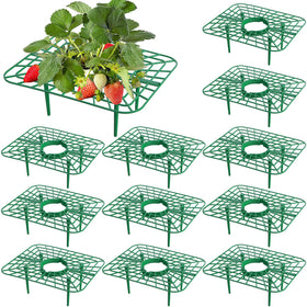 Iceyyyy square strawberry support ready for easy assembly and stable berry placement.