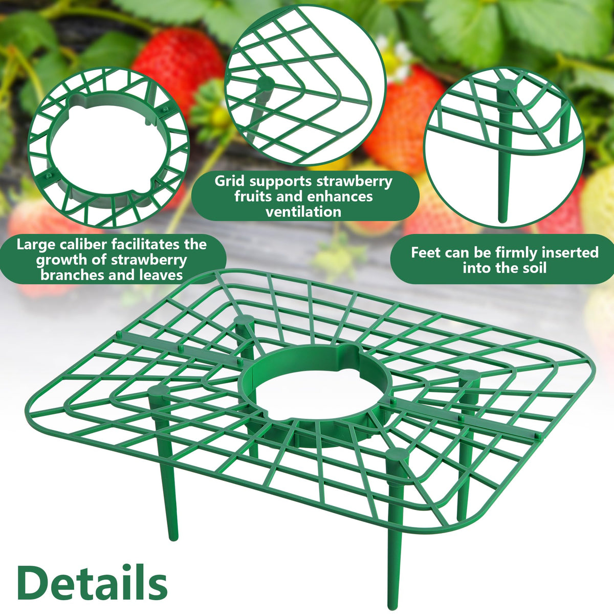 Iceyyyy square strawberry support with sturdy base keeps berries upright and reduces ground contact.