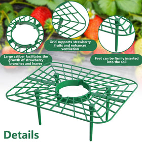 Iceyyyy square strawberry support with sturdy base keeps berries upright and reduces ground contact.