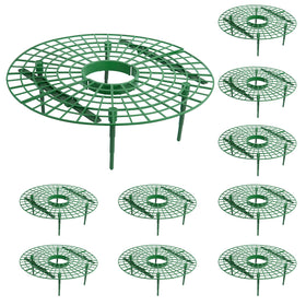 Iceyyyy strawberry stand rails support plants for cleaner berries.