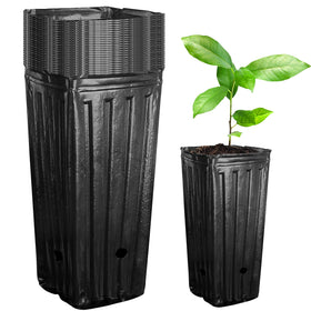Iceyyyy tall tree pot with a 7.8 inch height and 3.5 inch opening for healthy seedling growth