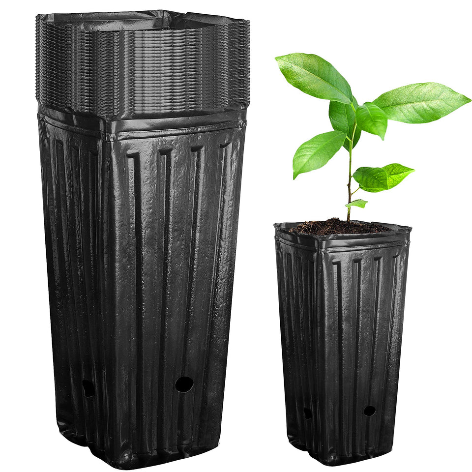 Iceyyyy tall tree pot with a 7.8 inch height and 3.5 inch opening for healthy seedling growth