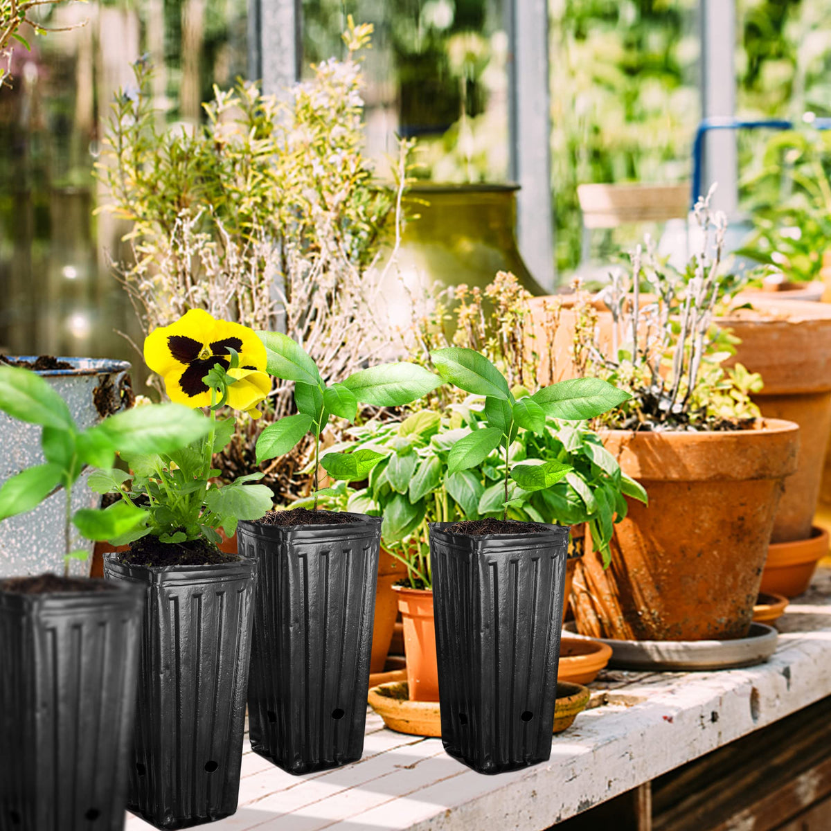 Iceyyyy deep nursery pot designed for vegetables and flowering plants