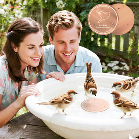 iCHKED copper disk, 0-6mm thick, stabilizes in outdoor birdbaths for durable purification.