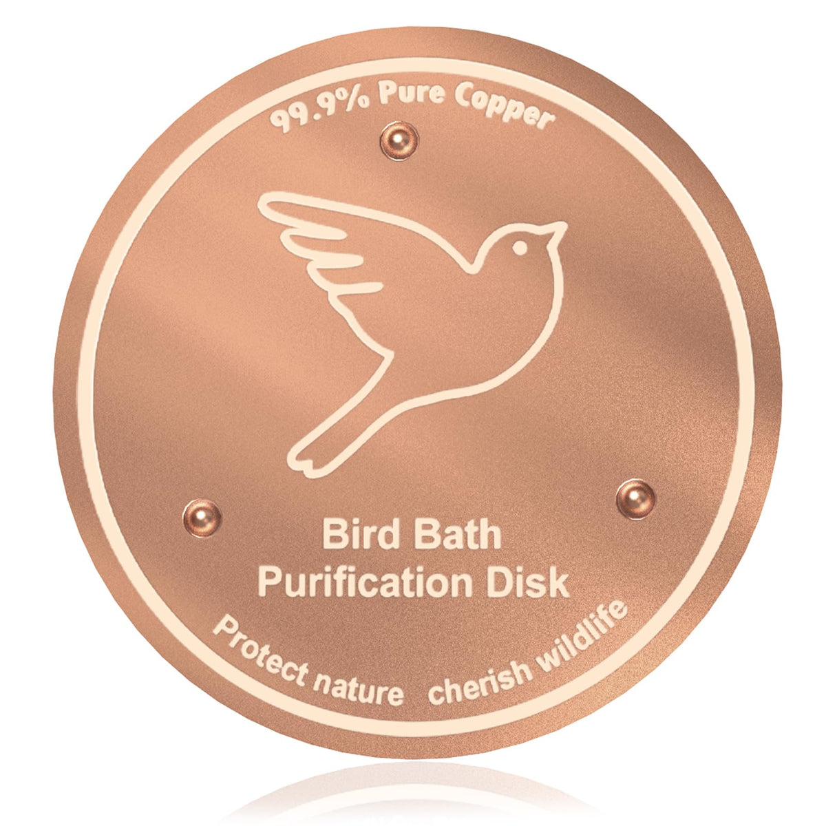 iCHKED copper disk in a birdbath, showing 99.9% purity for clean water.