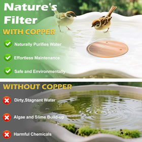 iCHKED all-season copper disk maintains performance through weather changes.