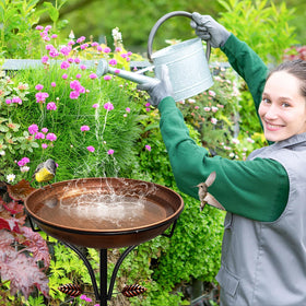 iCHKED solar fountain-ready option adds gentle movement for vitality