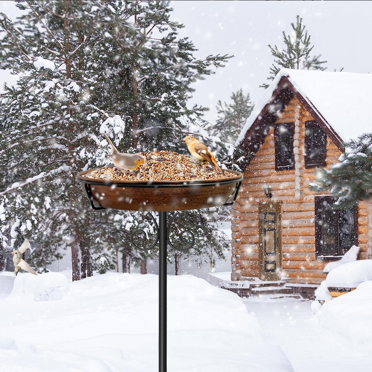 iCHKED year-round use turns the area into a welcoming bird habitat.