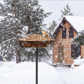 iCHKED year-round use turns the area into a welcoming bird habitat.