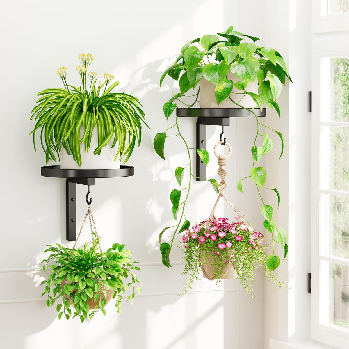 iDavosic.ly wall plant holder 2-pack with dual display for compact spaces